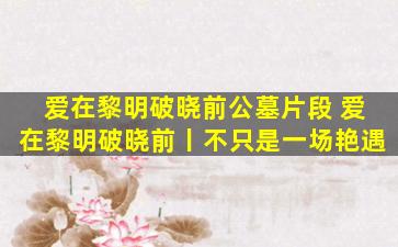爱在黎明破晓前公墓片段 爱在黎明破晓前丨不只是一场艳遇